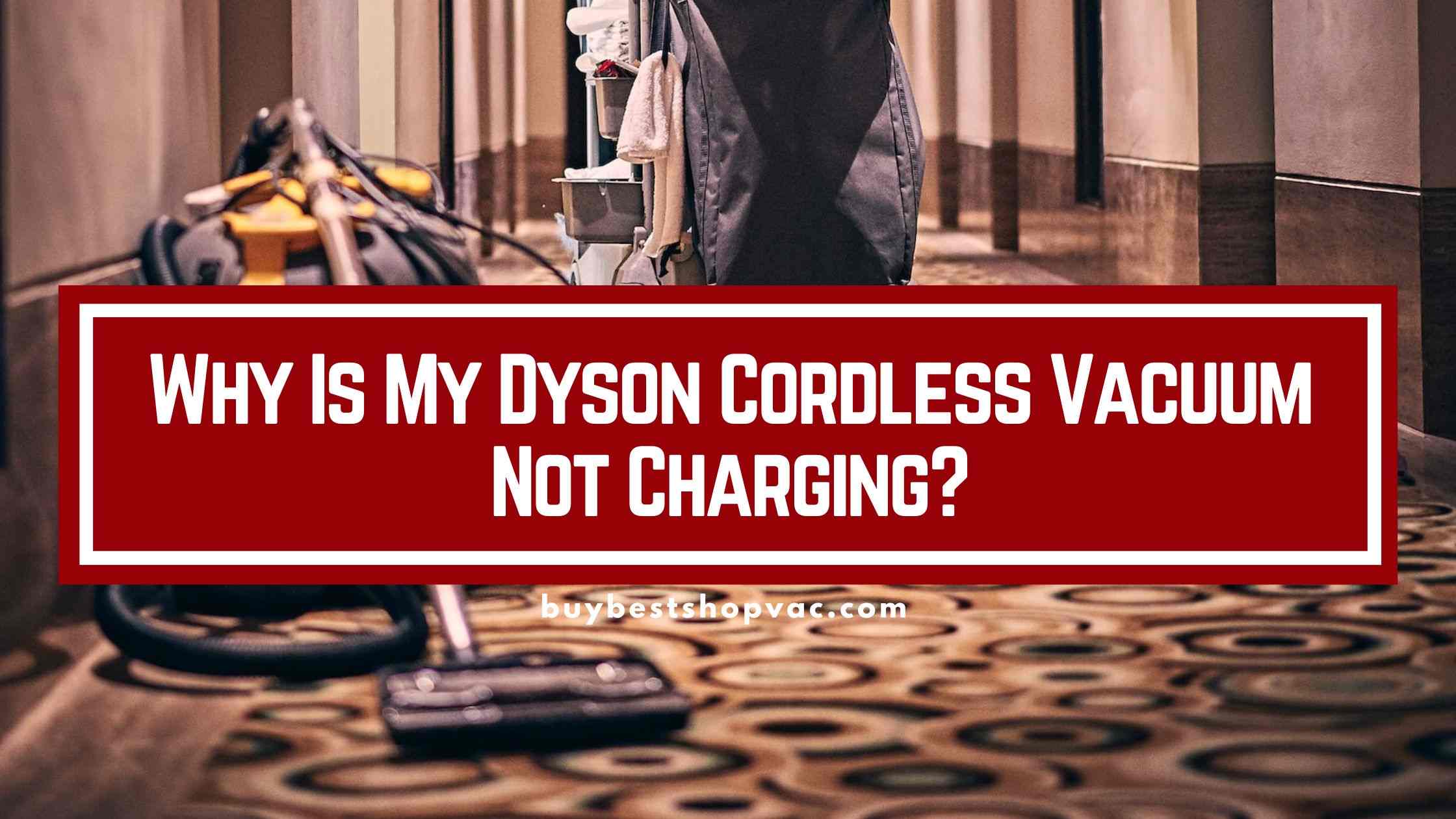 Reasons Why Is My Dyson Cordless Vacuum Not Charging? Buy Best Shop Vac